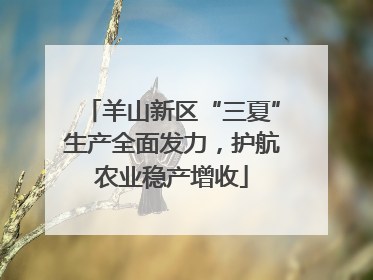 羊山新区“三夏”生产全面发力，护航农业稳产增收