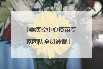 美疾控中心疫苗专家团队全员被裁