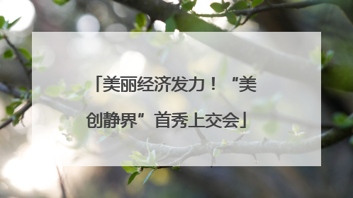 美丽经济发力！“美创静界”首秀上交会