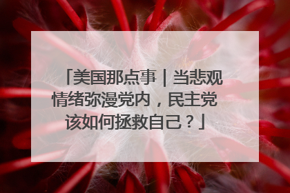美国那点事｜当悲观情绪弥漫党内，民主党该如何拯救自己？