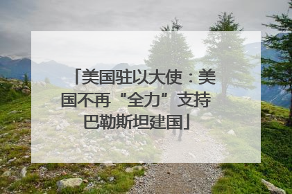 美国驻以大使：美国不再“全力”支持巴勒斯坦建国