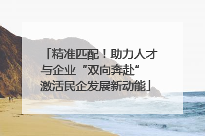 精准匹配！助力人才与企业“双向奔赴” 激活民企发展新动能