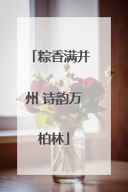 粽香满并州 诗韵万柏林