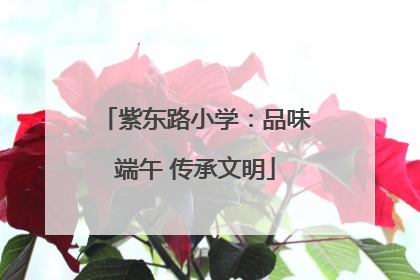 紫东路小学：品味端午 传承文明