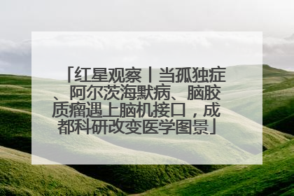 红星观察丨当孤独症、阿尔茨海默病、脑胶质瘤遇上脑机接口，成都科研改变医学图景
