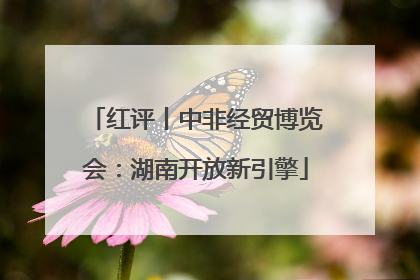 红评丨中非经贸博览会：湖南开放新引擎