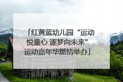 红黄蓝幼儿园“运动悦童心 逐梦向未来”运动嘉年华燃情举办