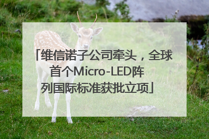 维信诺子公司牵头，全球首个Micro-LED阵列国际标准获批立项