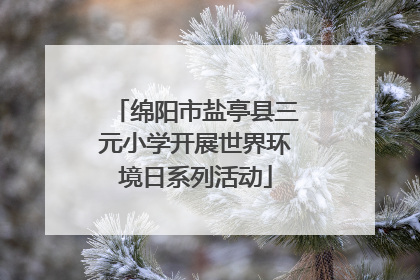 绵阳市盐亭县三元小学开展世界环境日系列活动