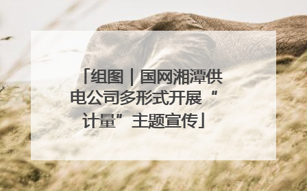 组图｜国网湘潭供电公司多形式开展“计量”主题宣传
