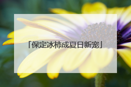 保定冰柿成夏日新宠