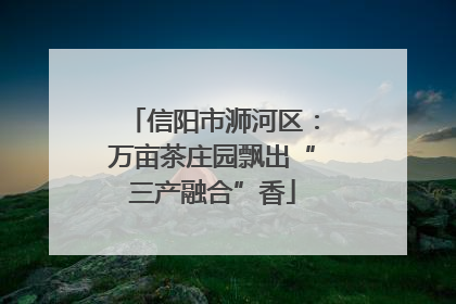 信阳市浉河区：万亩茶庄园飘出“三产融合”香