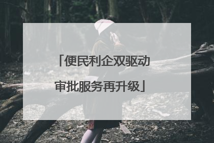 便民利企双驱动 审批服务再升级