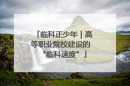 临科正少年｜高等职业院校建设的“临科速度”