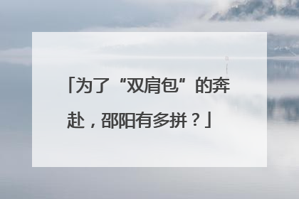 为了“双肩包”的奔赴，邵阳有多拼？