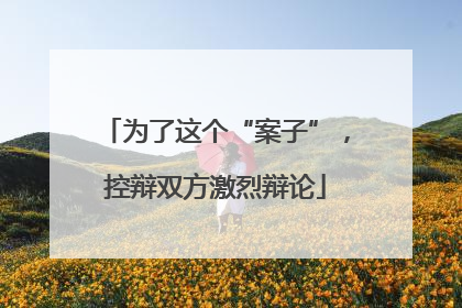 为了这个“案子”，控辩双方激烈辩论