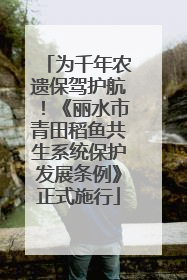 为千年农遗保驾护航！《丽水市青田稻鱼共生系统保护发展条例》正式施行