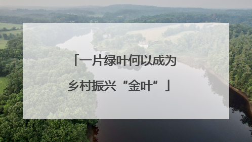 一片绿叶何以成为乡村振兴“金叶”