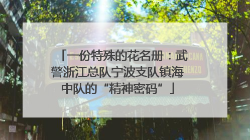 一份特殊的花名册：武警浙江总队宁波支队镇海中队的“精神密码”