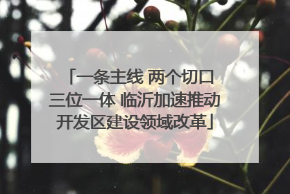 一条主线 两个切口 三位一体 临沂加速推动开发区建设领域改革