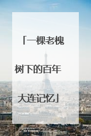 一棵老槐树下的百年大连记忆