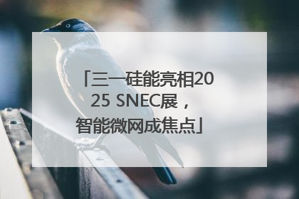 三一硅能亮相2025 SNEC展，智能微网成焦点