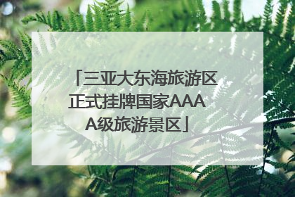 三亚大东海旅游区正式挂牌国家AAAA级旅游景区