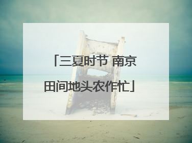 三夏时节 南京田间地头农作忙