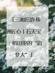 三湘匠韵·株洲匠心丨石天宝：稻田里的“追梦人”