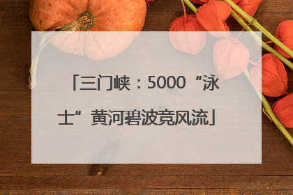 三门峡：5000“泳士”黄河碧波竞风流