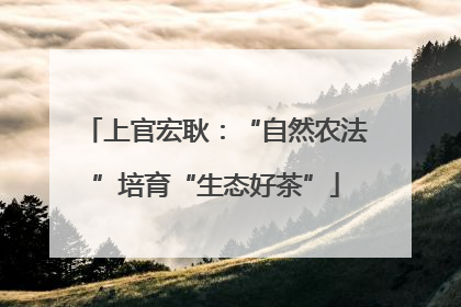 上官宏耿：“自然农法”培育“生态好茶”