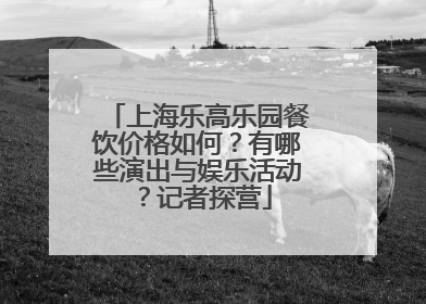 上海乐高乐园餐饮价格如何？有哪些演出与娱乐活动？记者探营