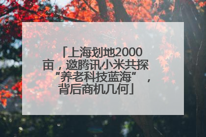 上海划地2000亩，邀腾讯小米共探“养老科技蓝海”，背后商机几何