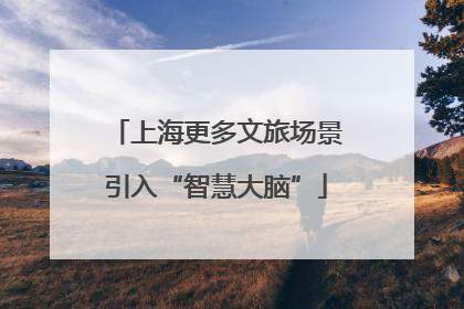 上海更多文旅场景引入“智慧大脑”