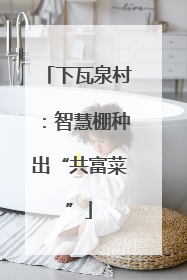 下瓦泉村：智慧棚种出“共富菜”