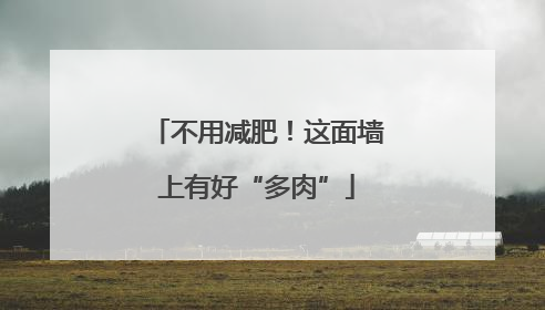 不用减肥！这面墙上有好“多肉”