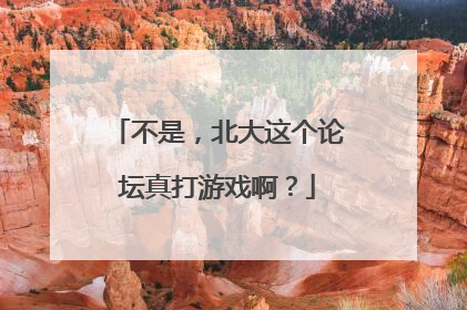 不是，北大这个论坛真打游戏啊？