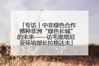 专访丨中非绿色合作播种非洲“绿色长城”的未来——访毛里塔尼亚环境部长拉格达夫