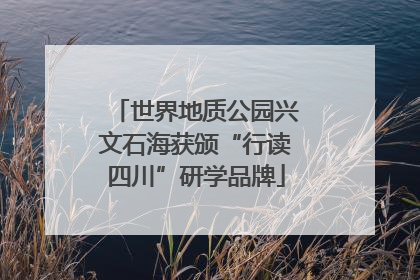 世界地质公园兴文石海获颁“行读四川”研学品牌