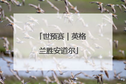 世预赛｜英格兰胜安道尔