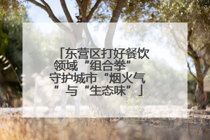 东营区打好餐饮领域“组合拳” 守护城市“烟火气”与“生态味”