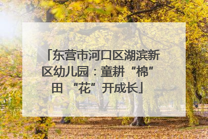 东营市河口区湖滨新区幼儿园：童耕“棉”田 “花”开成长