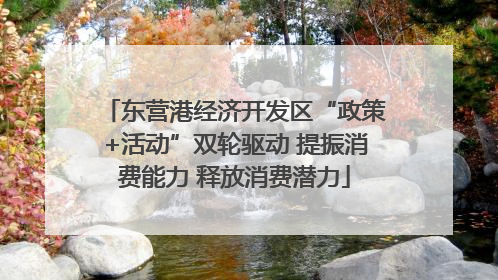 东营港经济开发区“政策+活动”双轮驱动 提振消费能力 释放消费潜力