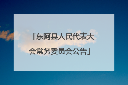 东阿县人民代表大会常务委员会公告