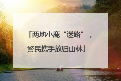 两地小鹿“迷路”，警民携手放归山林