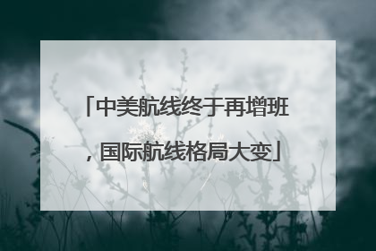 中美航线终于再增班，国际航线格局大变