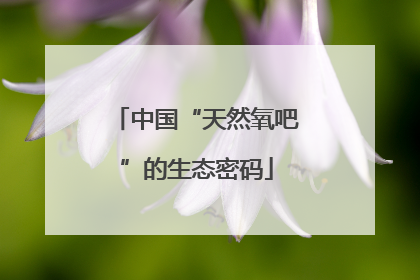中国“天然氧吧”的生态密码