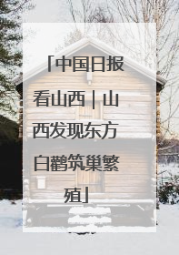 中国日报看山西｜山西发现东方白鹳筑巢繁殖