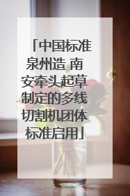 中国标准泉州造 南安牵头起草制定的多线切割机团体标准启用