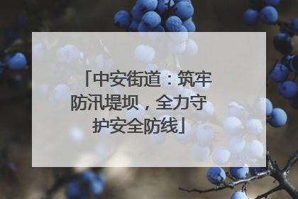 中安街道：筑牢防汛堤坝，全力守护安全防线
